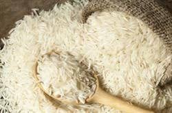 فروش برنج جنوب ایرانی