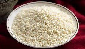 تولید برنج جنوب محلی