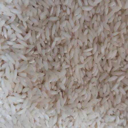 برنج دانه بلند چمپا