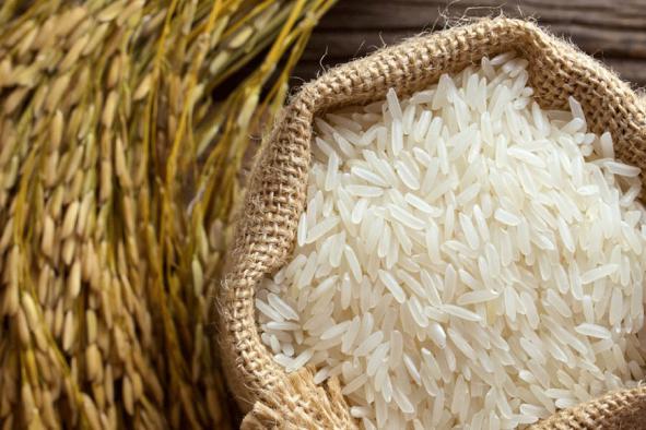 قیمت برنج دانه بلند