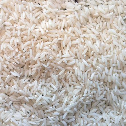 برنج دانه بلند ایران هند پاکستان